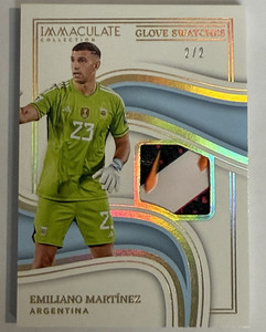 Immaculate Soccer Panini | eBay