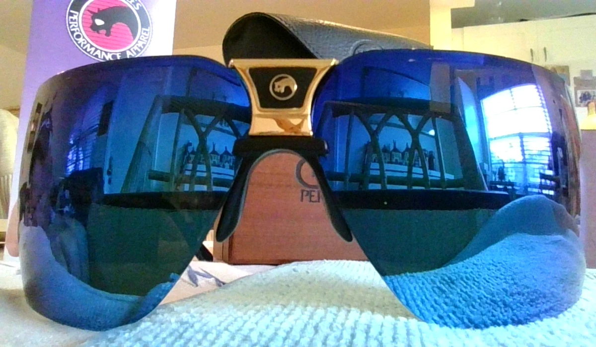 Gargoyles Blue Sunglasses for Men with Vintage for sale | eBay