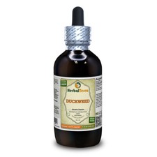 Duckweed (Spirodela Polyrhiza) Tincture Dried Herb Liquid Extract