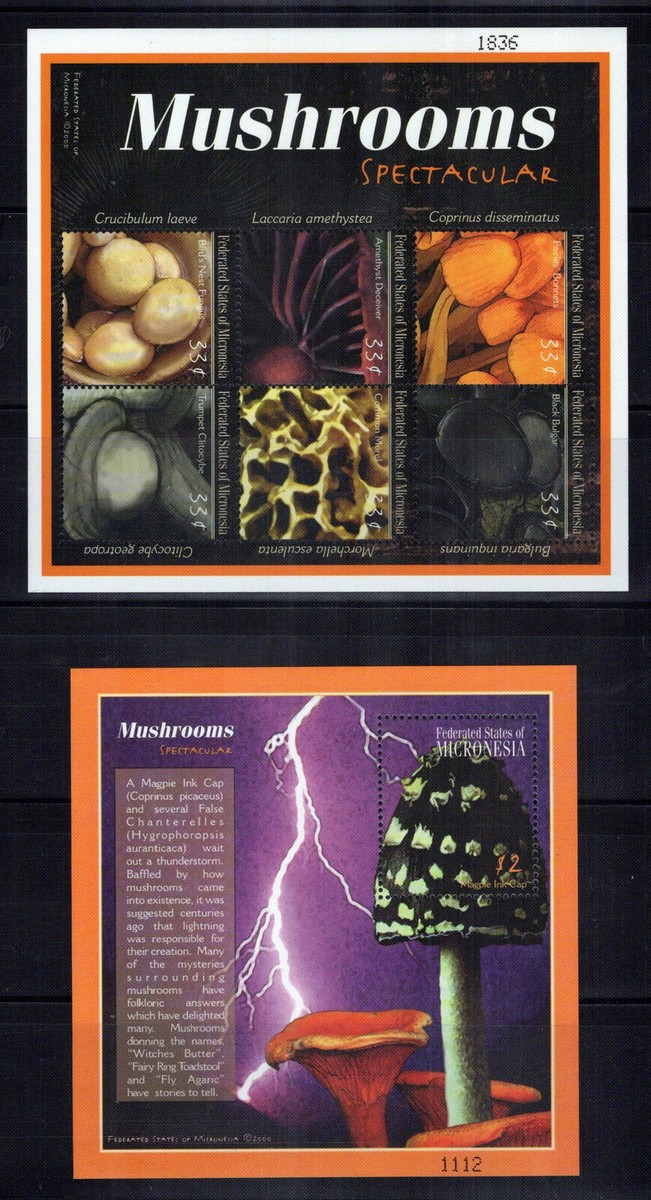 mayuming　no.2 Micronesia 381-384 MNH Mushrooms Fungi Plants Nature ZAYIX