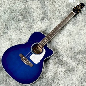 Takamine Custom | eBay