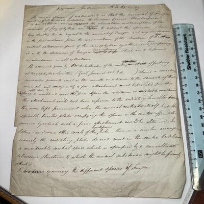 Abbe Dicquemare Essay on Sea Anemones Coral Fungia Zoological Journal 1820s
