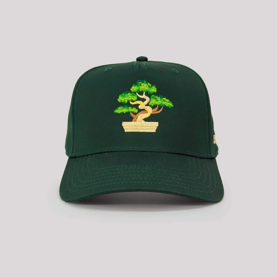 Bonsai Snapback Paciencia y Observación - Verde Foto 3 de 4