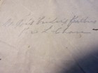 unique 1907 snug harbor rookery bird feather arrangement colorado ornithology — photo 5