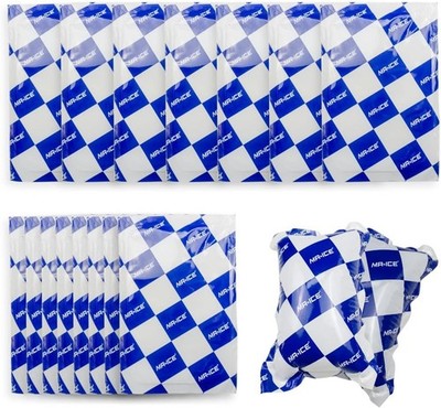 Reusable Dry Ice Packs for Shipping & Storage - Long Lasting Cold Packs for L...