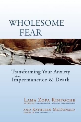 Wholesome Fear: Transforming Your A..., Kathleen McDona - Afbeelding 1 van 2