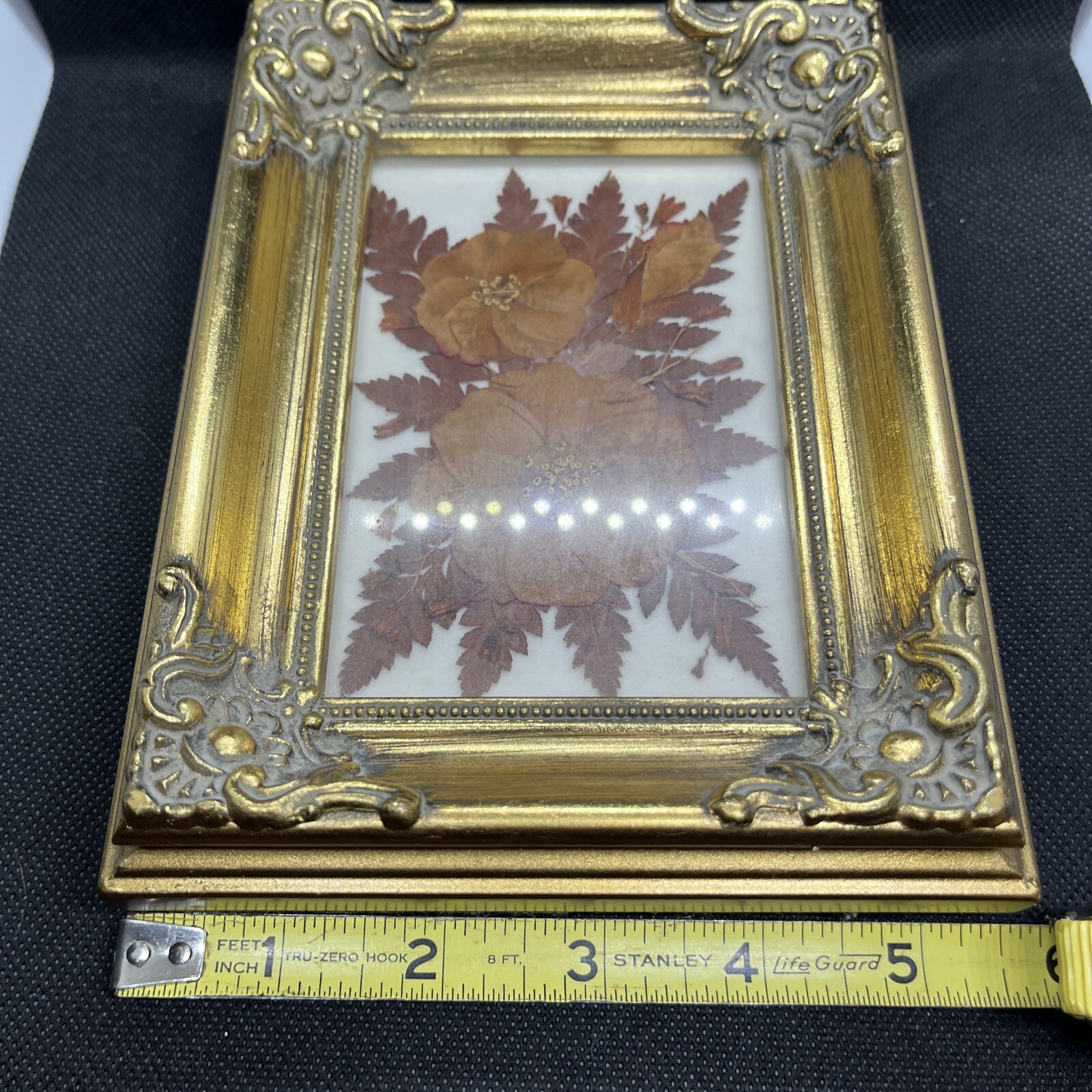 Vintage Pressed Dried Flowers Under Glass w/ Frame Wall Art eBay