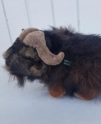 2001 Iceberg Augie Manley the Musk Ox Polar Friends Talking Plush Toy Talks