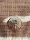 Fine Silver 1 OZ one Dollar Coin
