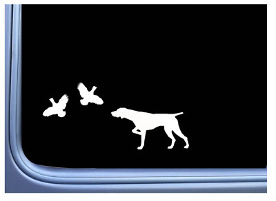 German Shorthair Pointer 2 Quail  car truck laptop decal sticker 7''