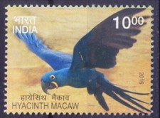 India 2016 MNH, Hyacinth Macaw, Parrots, Birds 