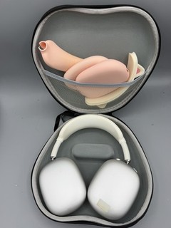 Apple AirPods Max Silber Weiß