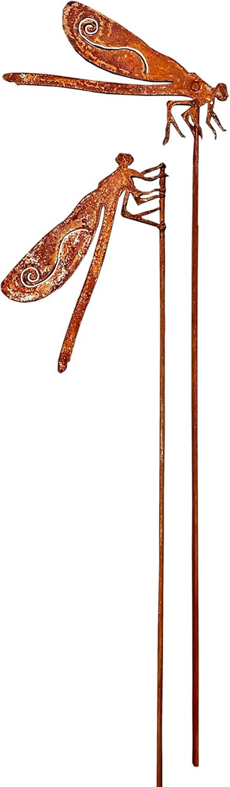 Decorazione Libellula da Giardino Set 2 Pezzi - Spine per Fiori in Metallo
