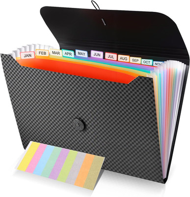 13 Pocket Expanding File Organizer, Accordion Document Folder