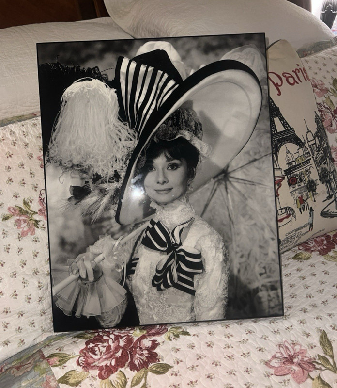 BIG 19 1/2"X15" MY FAIR LADY AUDREY HEPBURN Framed Movie Poster 2014 Beautiful!