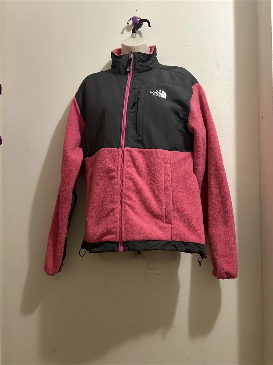 Large north store face denali womens