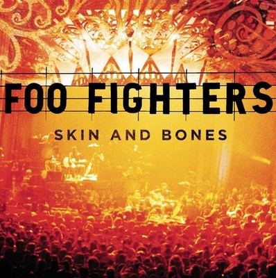 Foo Fighters Skin and Bones (Vinyl) 12'' Album
