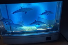 Dolphin Motion Lamp Night Light Rotating Ocea...