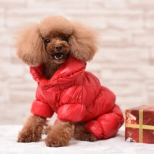 Winter Puppy Jacket Warm Clothing Waterproof Pet Dog Clothes Coat For Small Dog