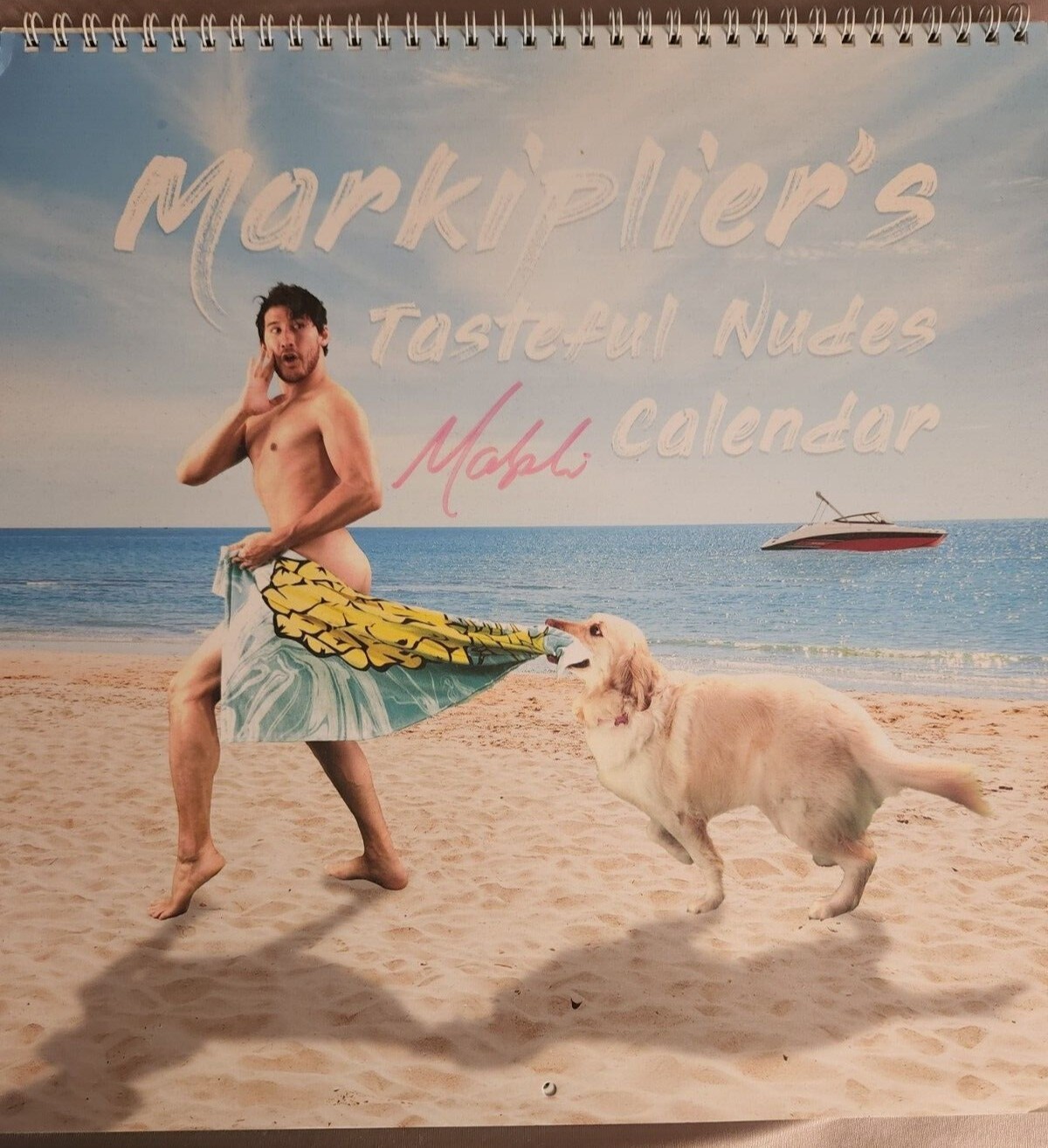 Markiplier Tasteful Nudes Calander -AUDTOGRAPHED - RARE eBay