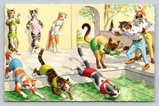 Eugen Hartung Mainzer Dressed Cats Swim Team Race Cat Loses Top Vintage Postcard