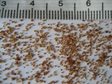 Lithop Seeds 2026 List 1/3 ~ Cole Numbers ~ Cultivars etc. ~ All Prices Reduced!