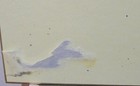 Bild 8 von 8