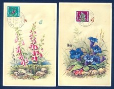 BELGIUM 1951 FLOWER SEMIS 2 DIFF MAXI PPC