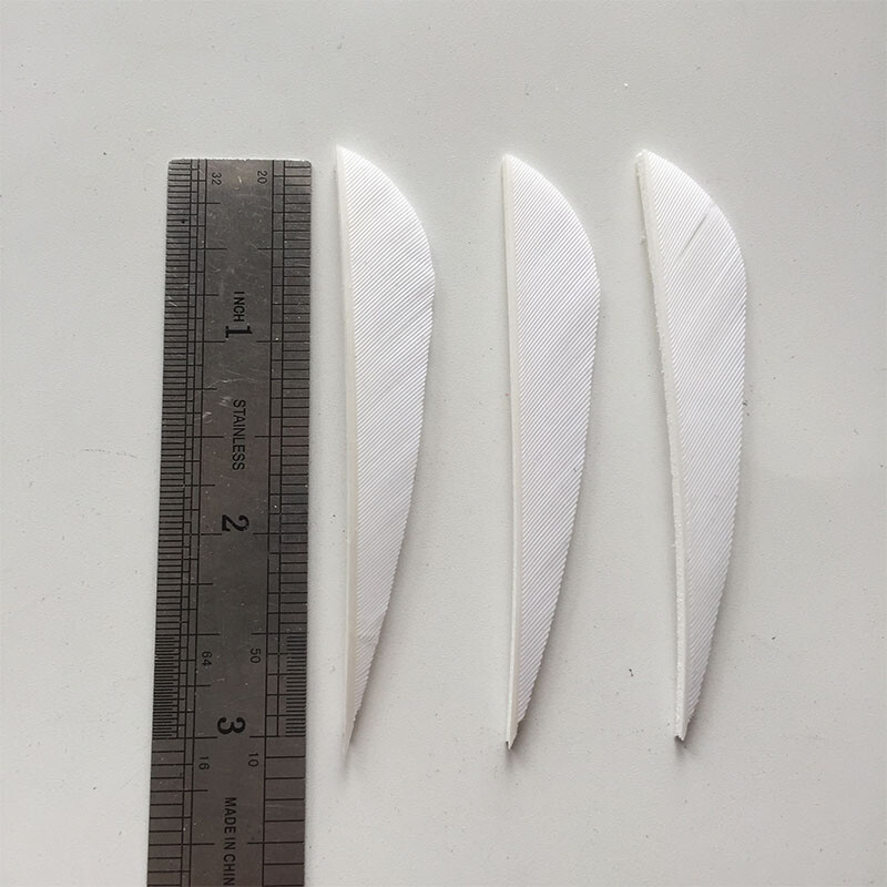 25 Plumes D'archerie Naturelles, Aile Gauche, 5 Pouces, Barrées Multicolores