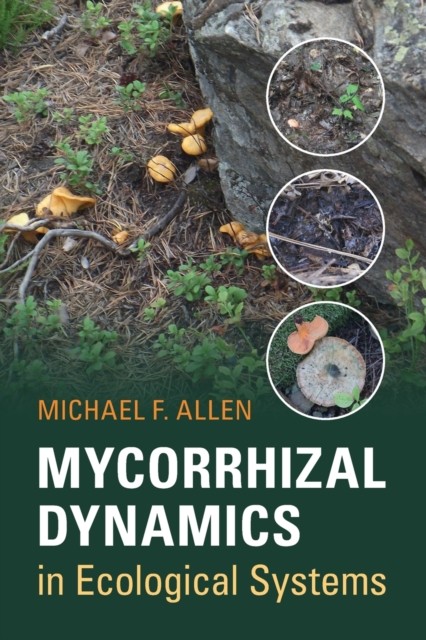Mycorrhizal Dynamics in Ecological Systems by Michael F. Allen - - Image 6