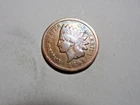 1894 Indian Head Cent in solid good condition. But you decide!!!!!!!!!!!!