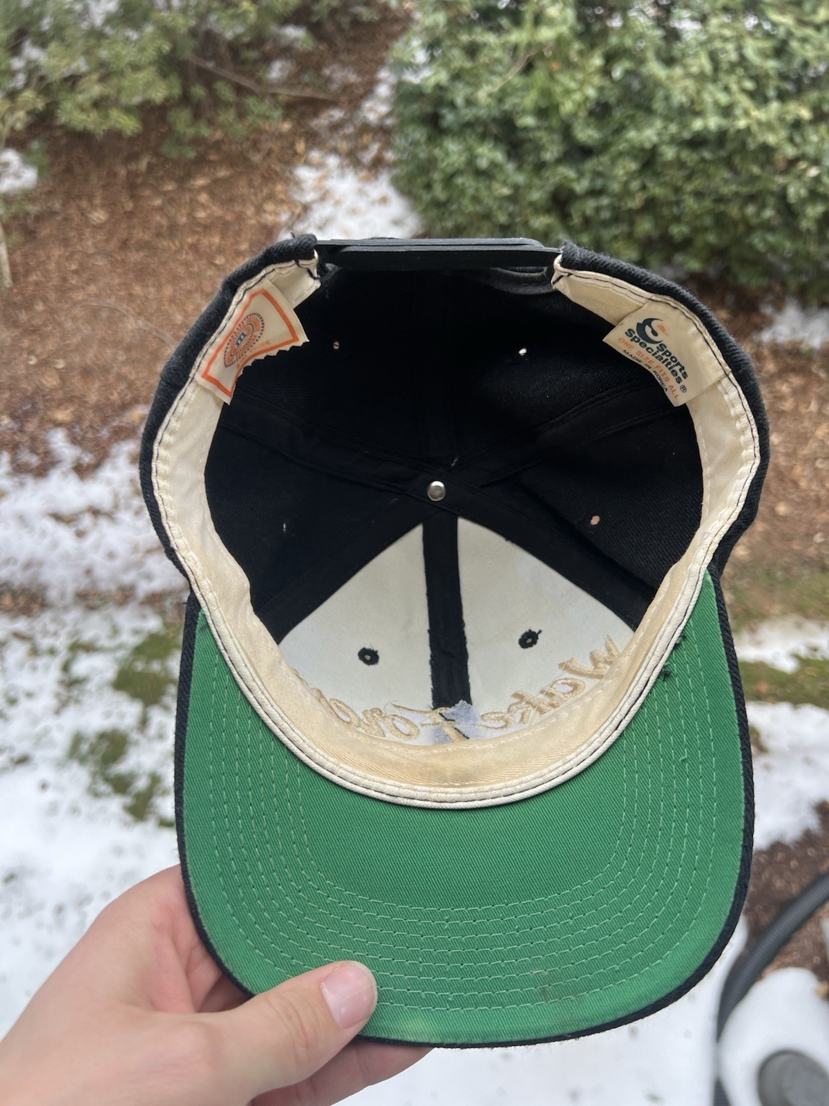 Vintage Wake Forest Single Line Script Sports Spe… - image 5