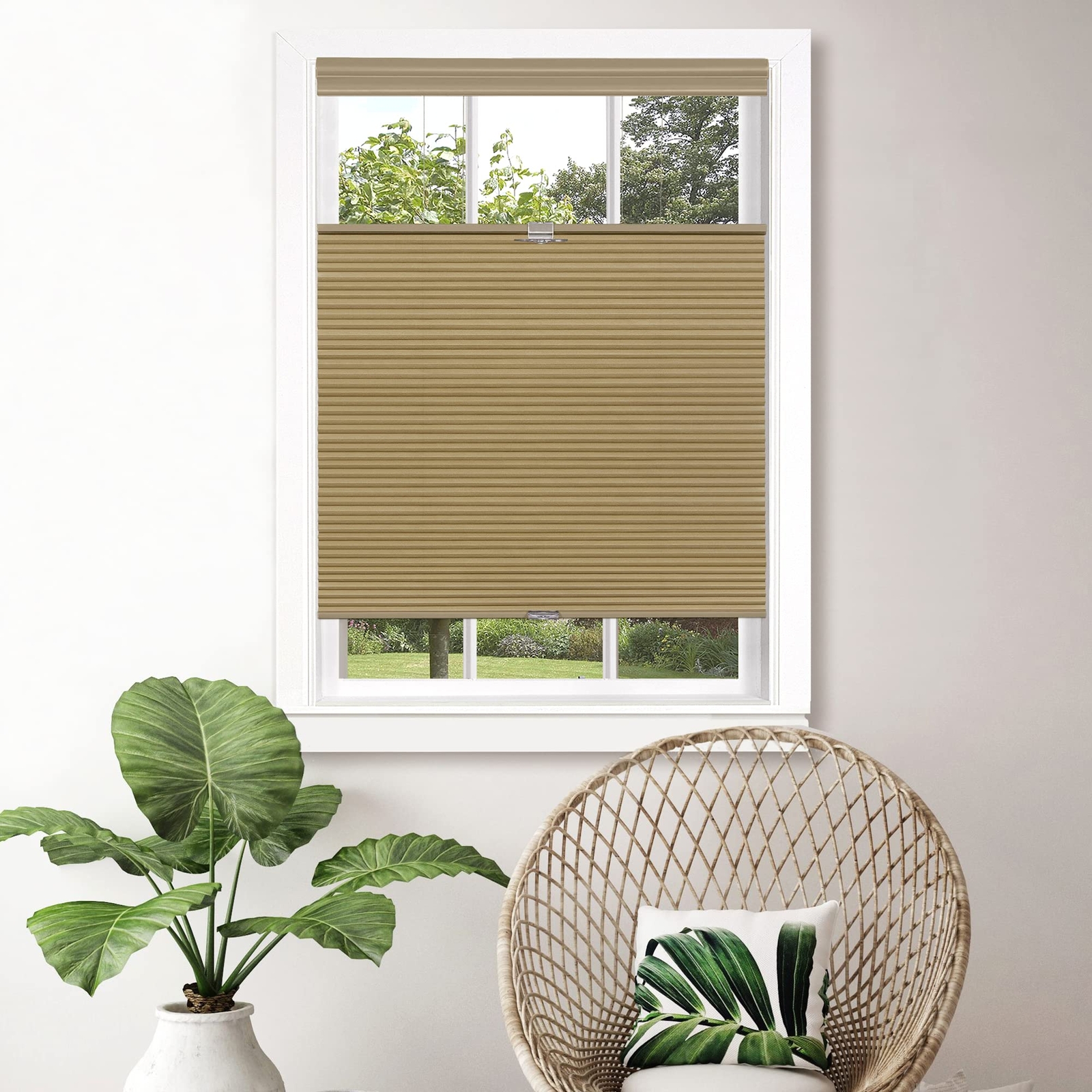 31 X 64 Inch Wheat