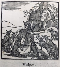 Renard 1682 Rare Gravure Fables Esope Gabriele Faerno Vulpes XVII