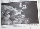 Bild 3 von 12