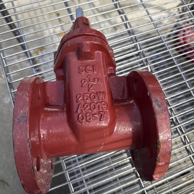 New SCI Main Gate Valve 2-1/2'' 250W Flanged AWWA C515 A536