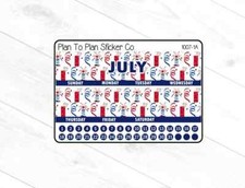1007-1C July 8.5X11 Monthly View Planner Stickers.