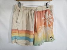 Marine Layer Men s Beach Casual Swim Sport Shorts Size M Tropical Stripe
