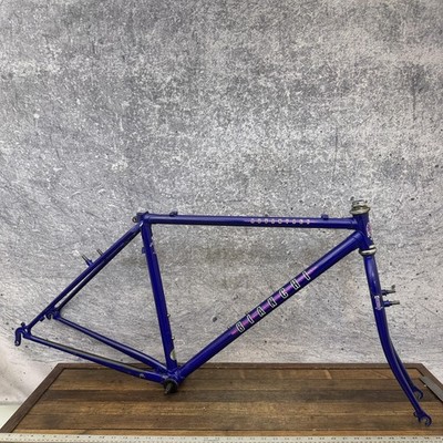 Bianchi ADVANTAGE シクロクロスバイク フレーム Vintage Bianchi Advantage 700c Frame 46cm Gravel Lugged Tange Cro
