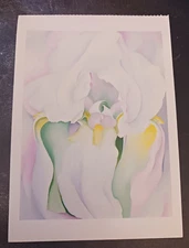 vtg postcard Georgia O'KEEFFE Light Iris White  painting flowers art unposted