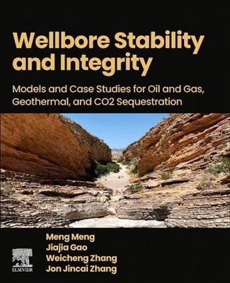 Wellbore Stability and Integrity : Models and Case Studies for Oil and Gas, G...