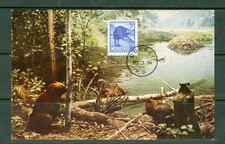 CANADA #336 5 CENT BEAVER FDC MAXI CARD QUEBEC APR 1 53 CDS
