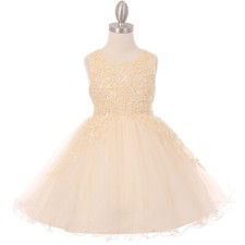 CHAMPAGNE Size 10 Flower Girl Dress Party Birthday Wedding Bridesmaid Recital