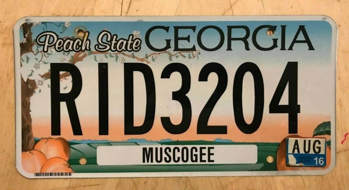 State License Plate