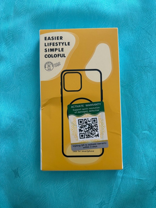 earphone case 