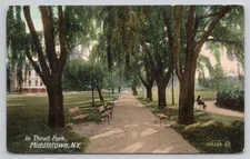 Thrall Park Middleton NY Postcard