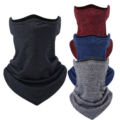 REPLICA OR SKIN MOUNT visual data 4