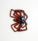 Spider - Small Spider - Arachnidae - Spider sp -Cameron Highlands,Malaysia -SP01