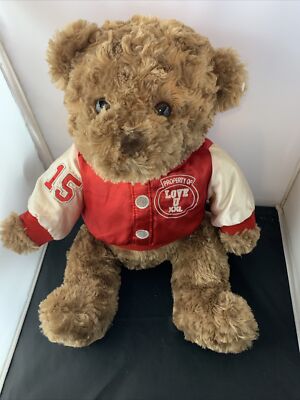 Dan Dee 15  Teddy Bear Plush varsity Valentine day love U Jacket Stuffed Animal