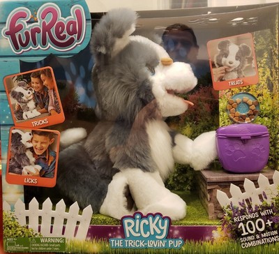 ricky the trick lovin pet